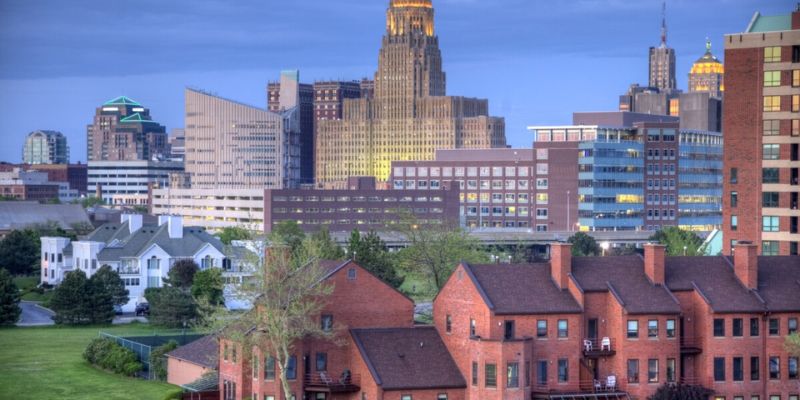 Buffalo