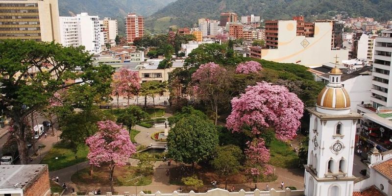 Ibague